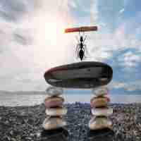 seo知﻿识​框​架‌